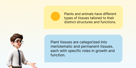 Class Notes & Collaboration