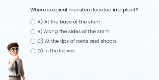 Quizzes & Practice Exercises